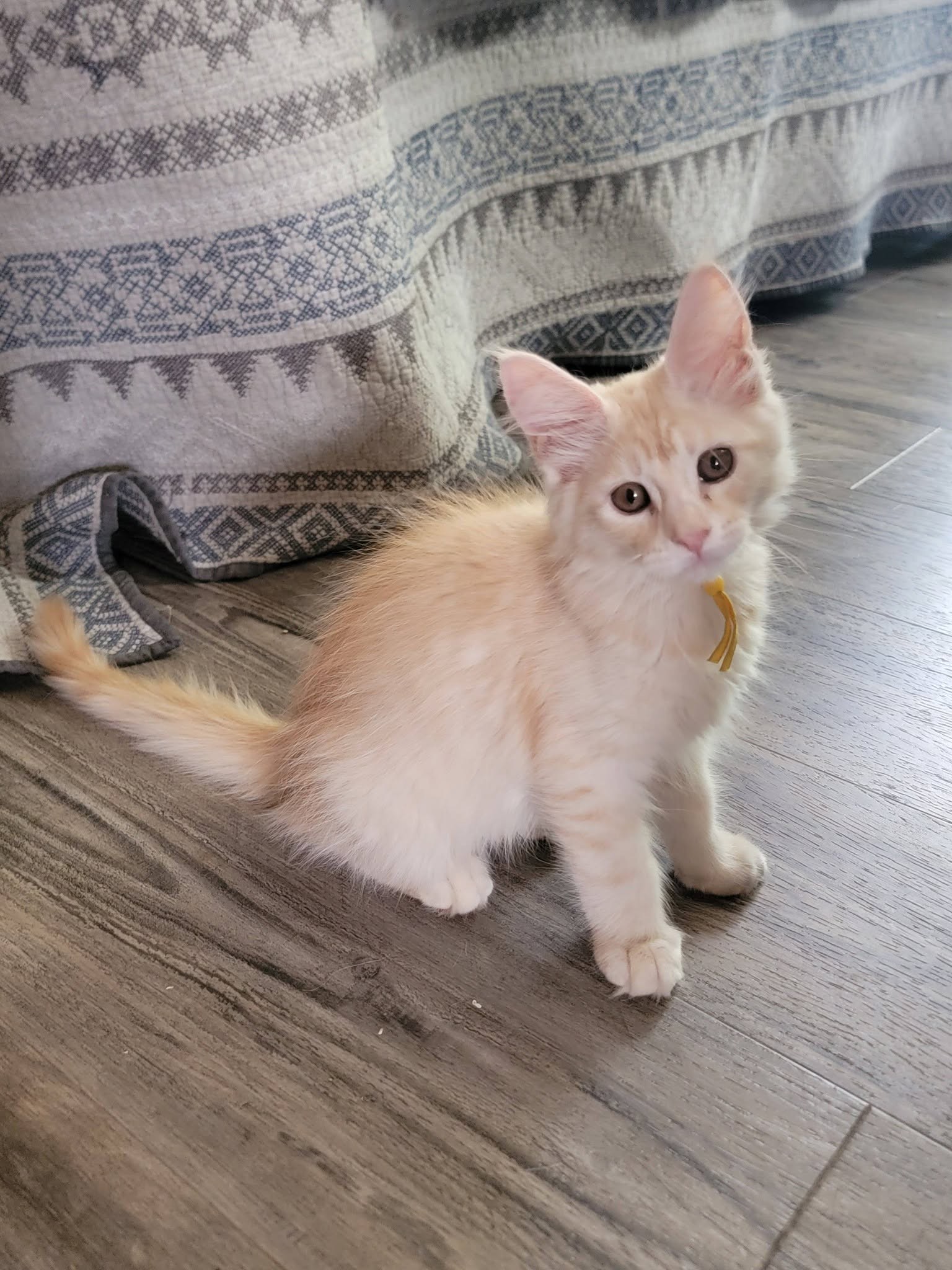 Photo of Lala