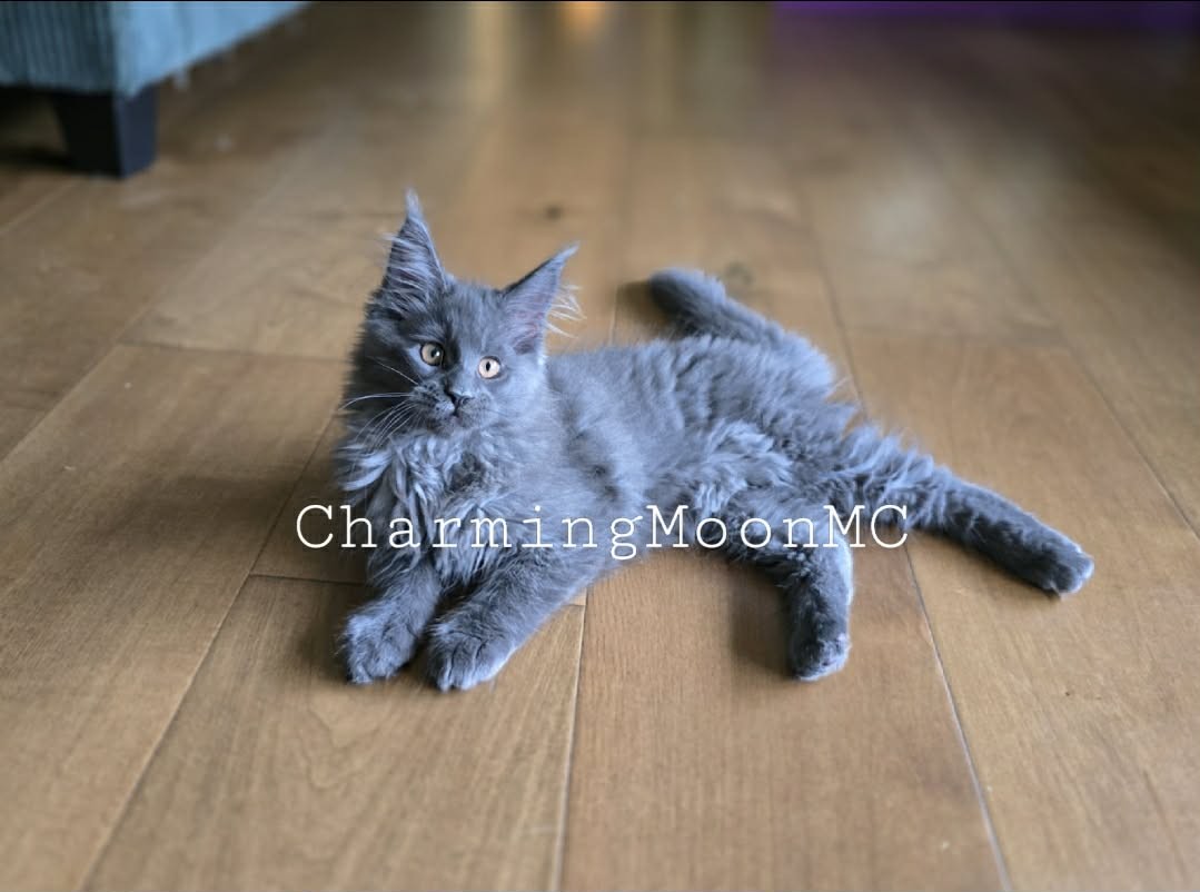 Photo 4 of Breeze