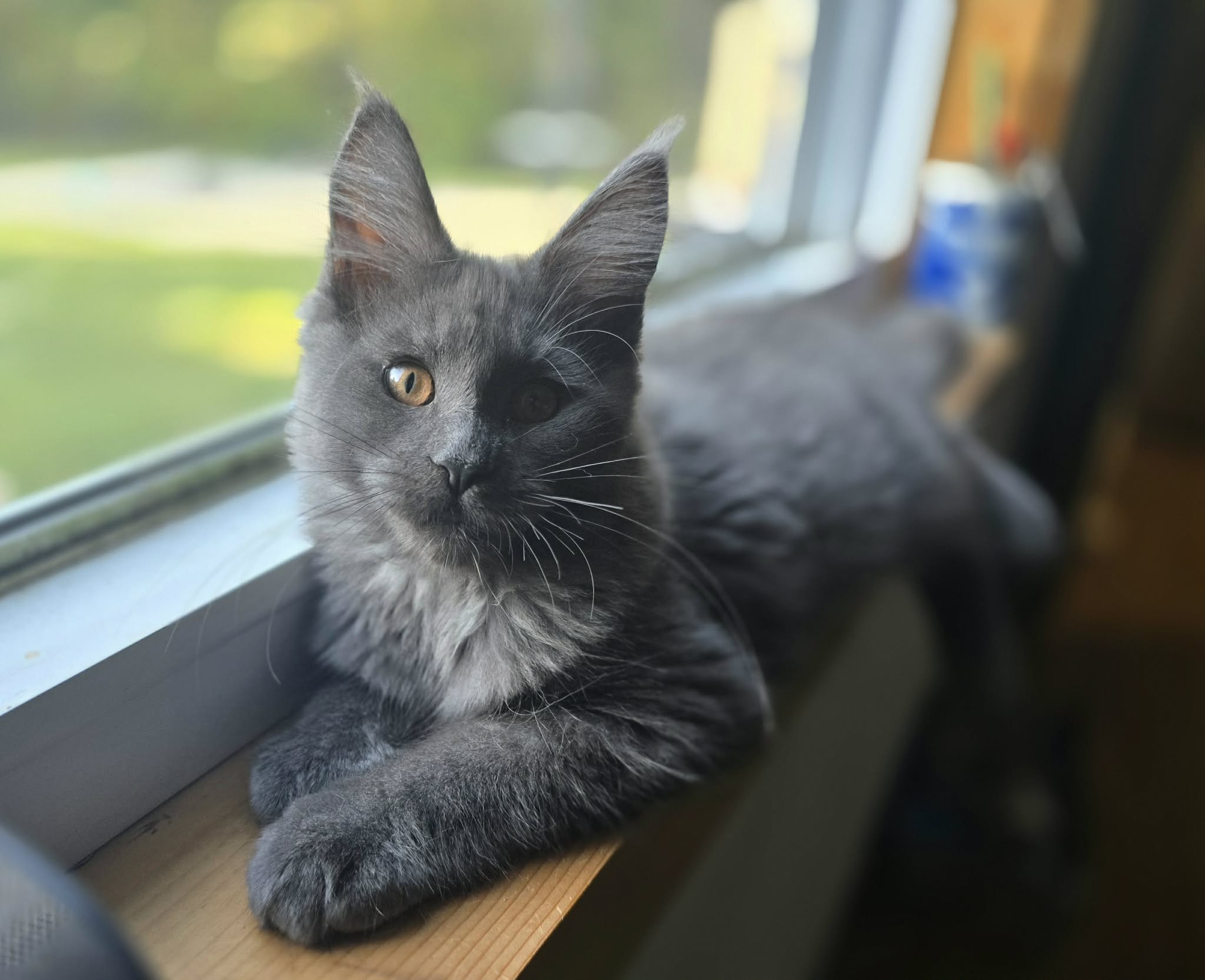 Photo of Wendi